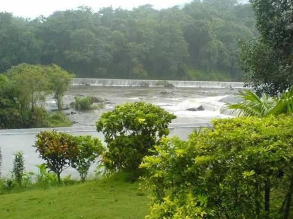 Nest Resorts Athirappilly Ngoại thất bức ảnh