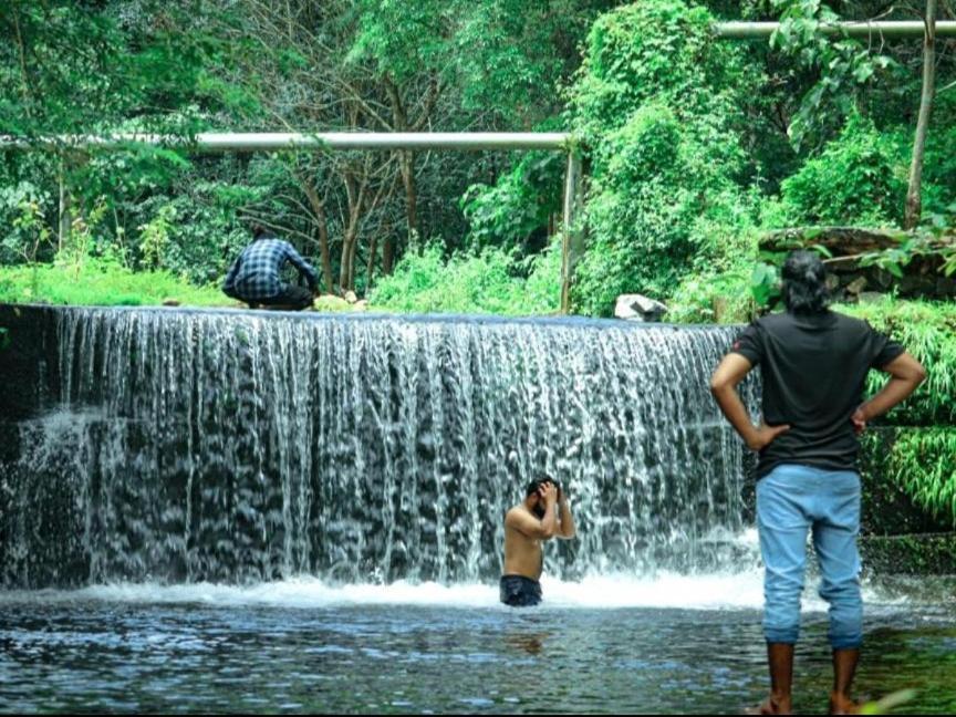 Nest Resorts Athirappilly Ngoại thất bức ảnh