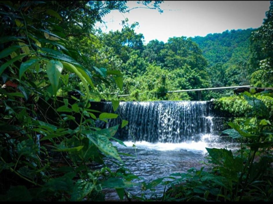 Nest Resorts Athirappilly Ngoại thất bức ảnh